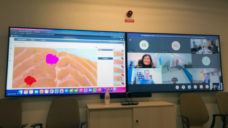 Workshop with technology providers and participants from the fish processing industry.