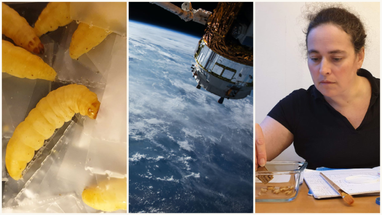 Foto: Norbite och Unsplash