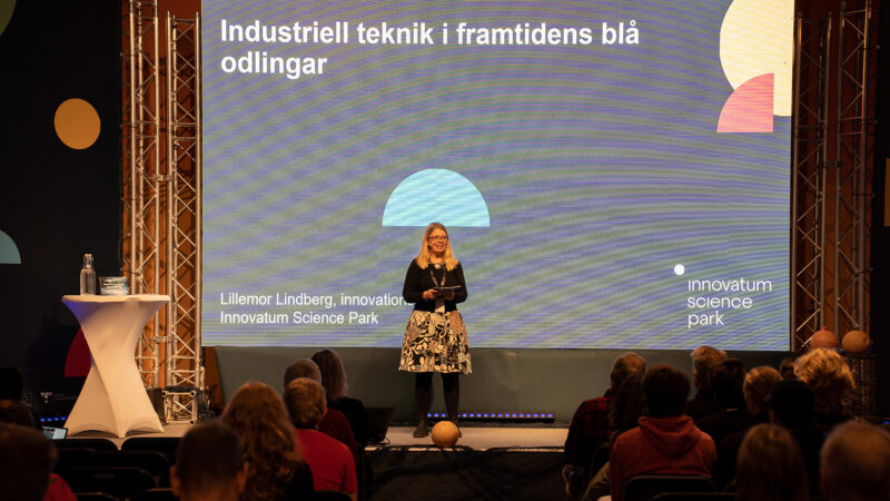 Lillemor Lindberg, innovationsledare på det Maritima klustrets årskonferens med temat 