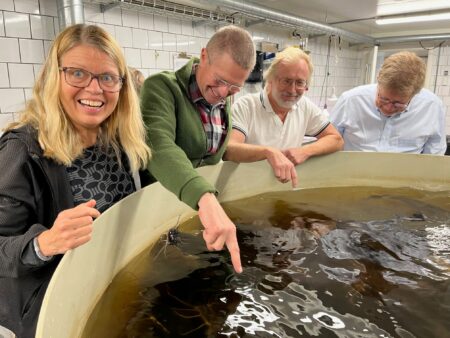 People watching fish living in a tank