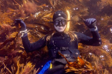 Underwater seaweed divers