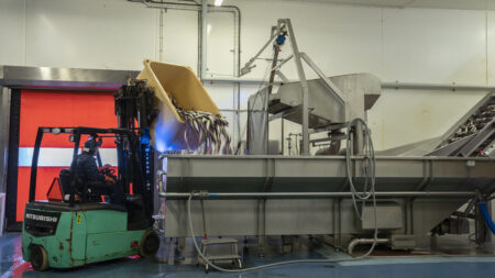 Herring landed on Orust on its way to Sweden Pelagic's industry in Ellös on Orust.