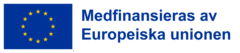 SV_Co-fundedbytheEU_RGB_POS EU-finansierad