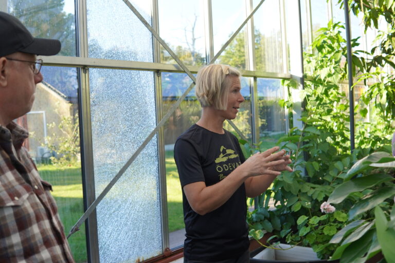 Malin Axelsson berättar om orangeriet.