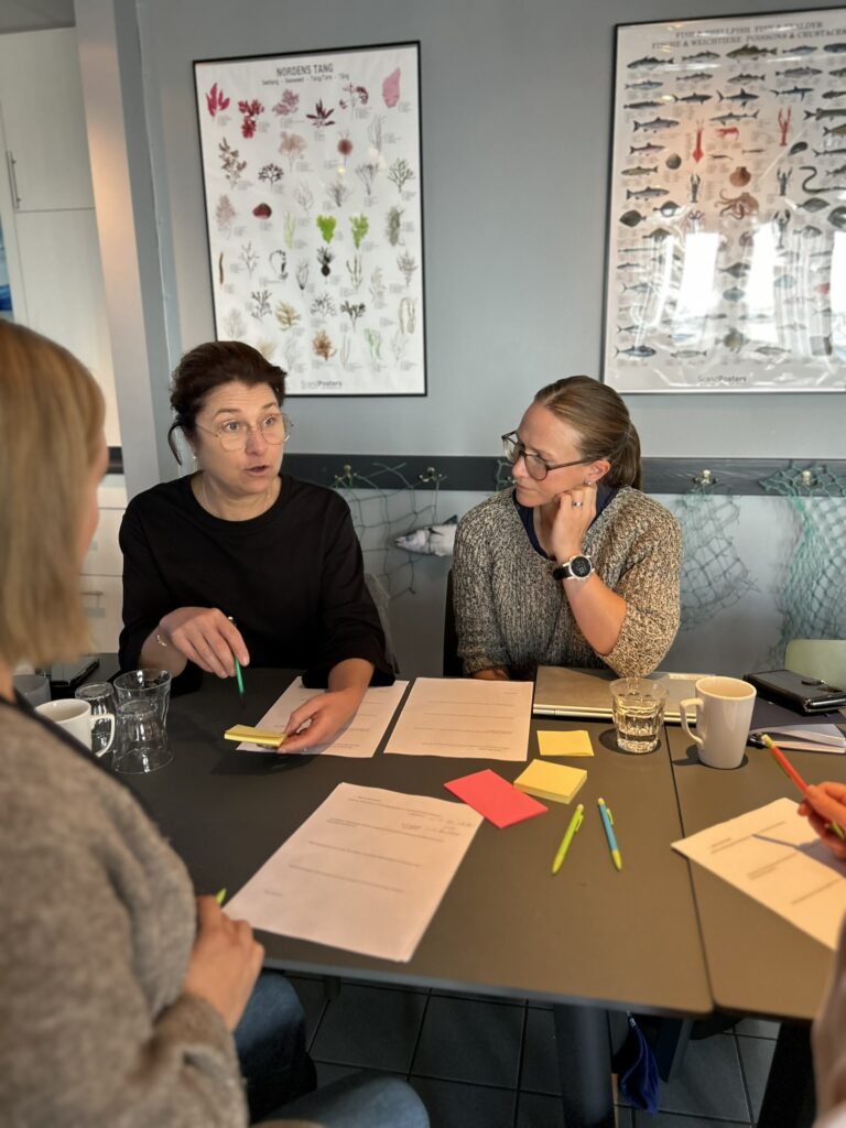 Kristin Johansson from Innovatum Science Park will join the workshop for the participants.