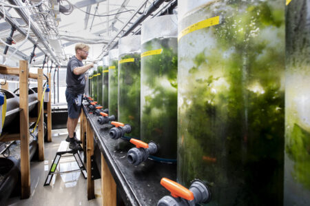 Bild från Tjärnö marina laboratorium